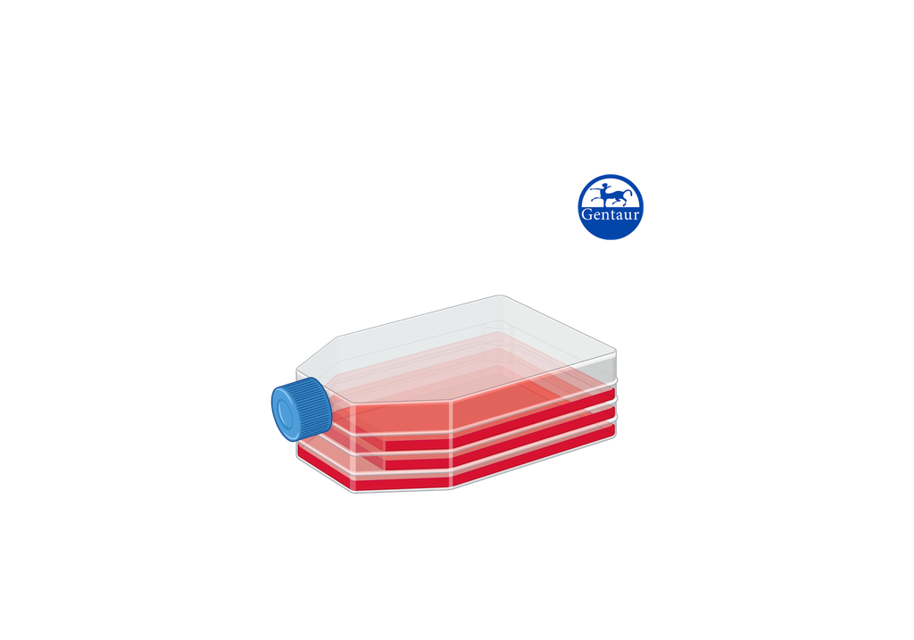 LymphoPrime 2 - peripheral blood lymphocytes culture medium