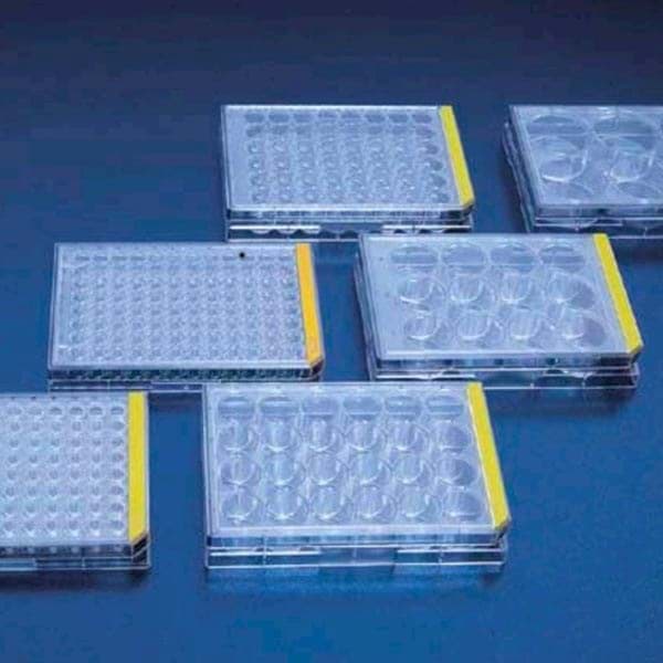 Tissue culture test plate, 12 wells (4 pcs) 