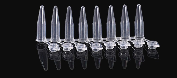 PCR 8/4 Strips