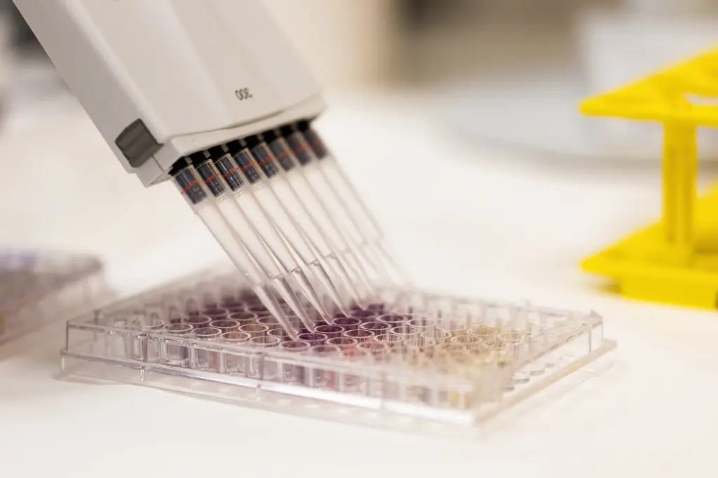 Armadillo PCR Plate,  96-Well  Clear Frame, White Wells - 25 Plates
