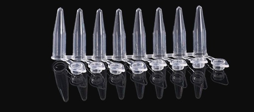 [SK-SAMPLE-38] PCR 8/4 Strips